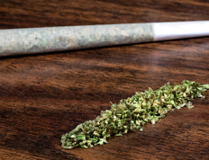 Cannabis and home insurance