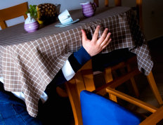 The Great Quebec ShakeOut