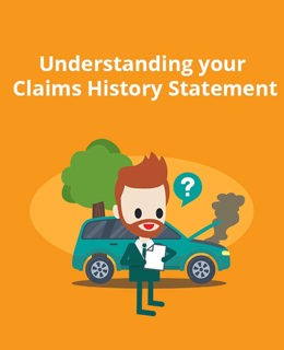 Understanding your claims history statement