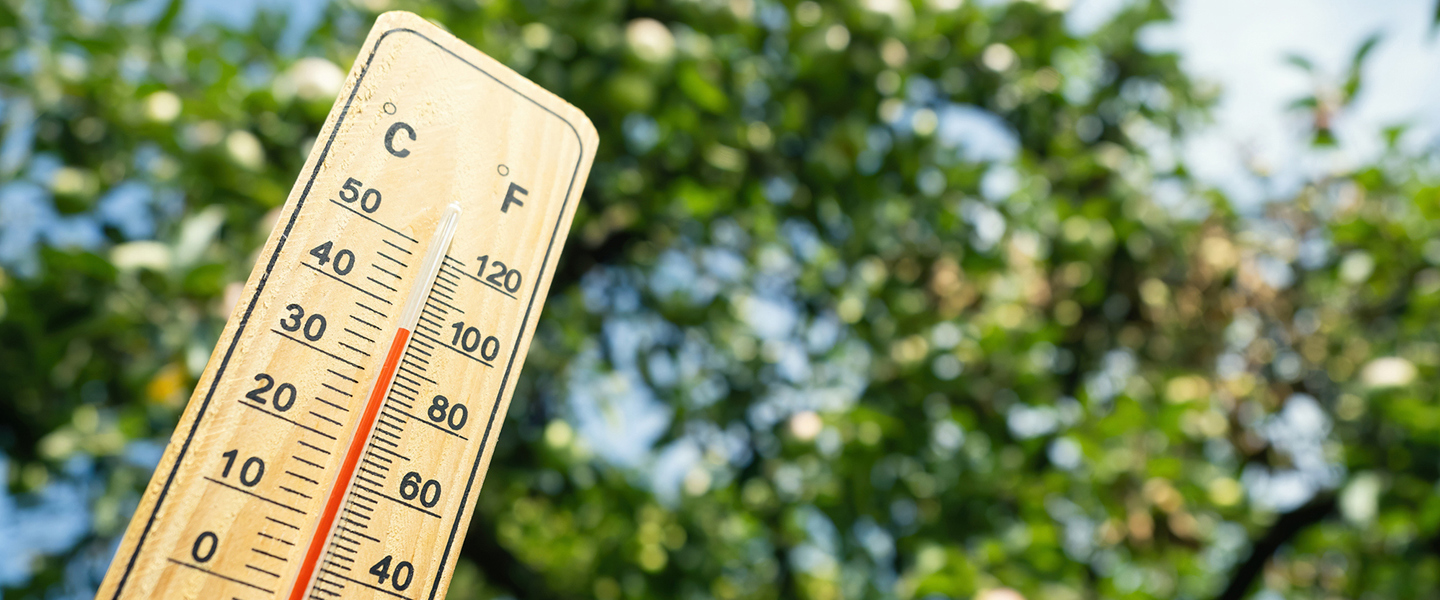 Extreme heat and wildfires