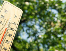 Extreme heat and wildfires