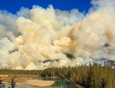 What does my insurance cover in case of wildfires?