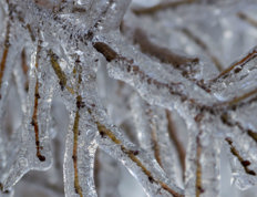 Ice storm and freezing rain
