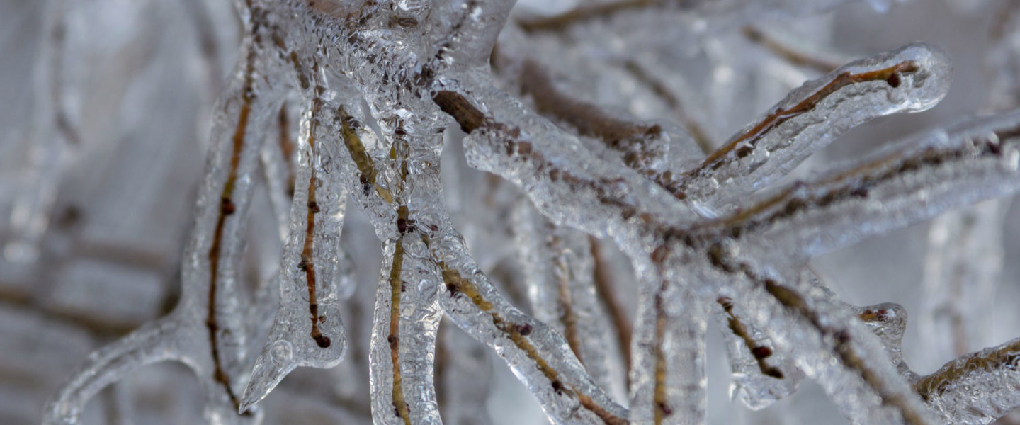 Verglas et pluie verglaçante