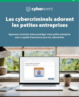 Cyberaverti: Apprenez comment mieux protéger votre petite entreprise avec ce guide d’assurance pour les cyberavisés