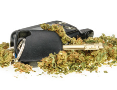 Cannabis et assurance auto