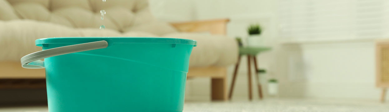 Water damage: interactive house