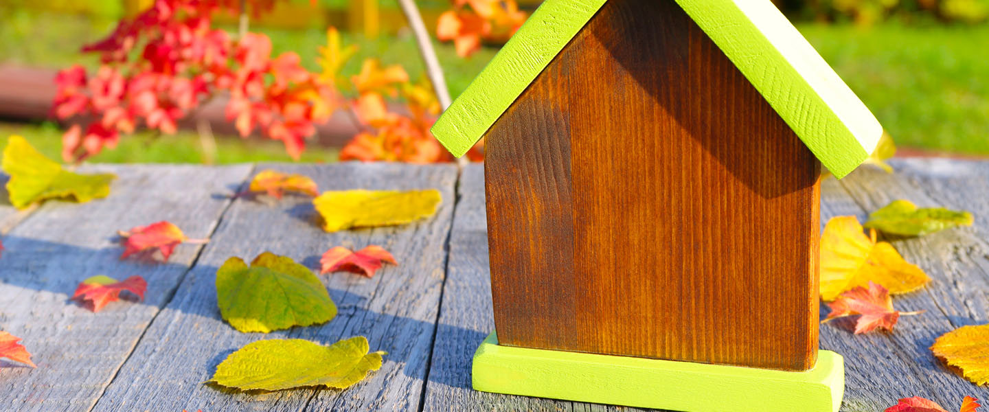 Fall tips for your home