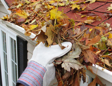 Fall tips for your home