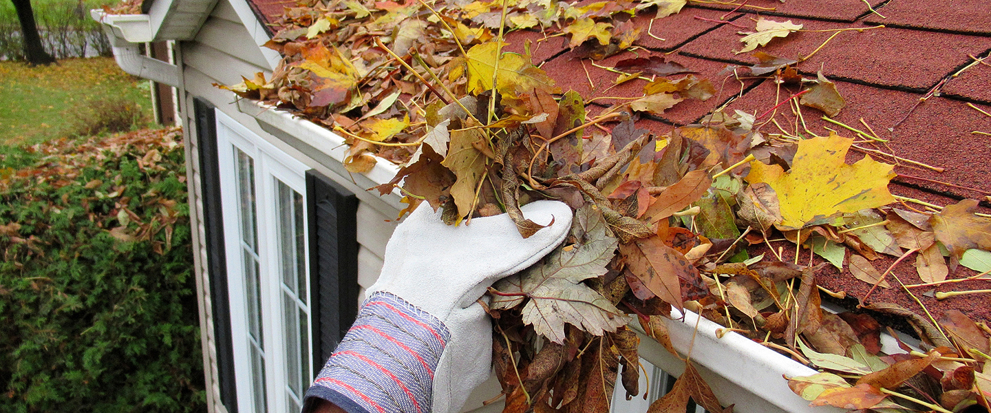 Fall tips for your home