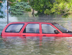 Flooded vehicle: what to do?