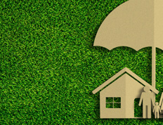 The basic principles of insurance