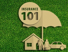The basic principles of insurance